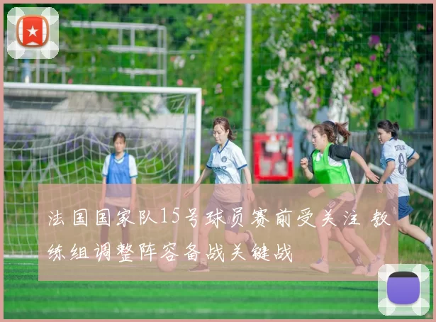 法国国家队15号球员赛前受关注 教练组调整阵容备战关键战