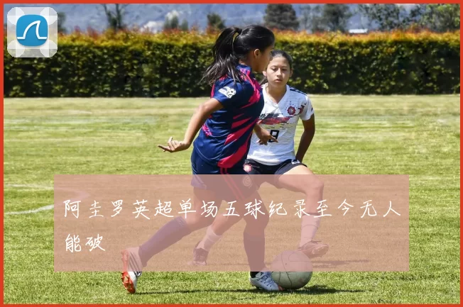 阿圭罗英超单场五球纪录至今无人能破