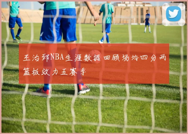 王治郅NBA生涯数据回顾场均四分两篮板效力五赛季