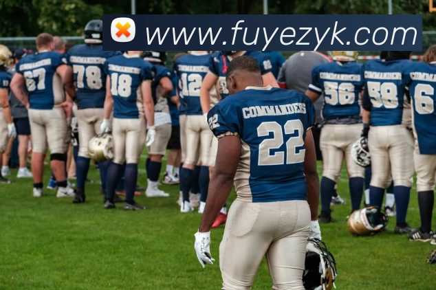 App Interface Preview